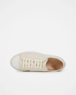 Canvas Low Top Sneakers -Celtic & Co Store 92161