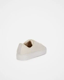 Canvas Low Top Sneakers -Celtic & Co Store 92162